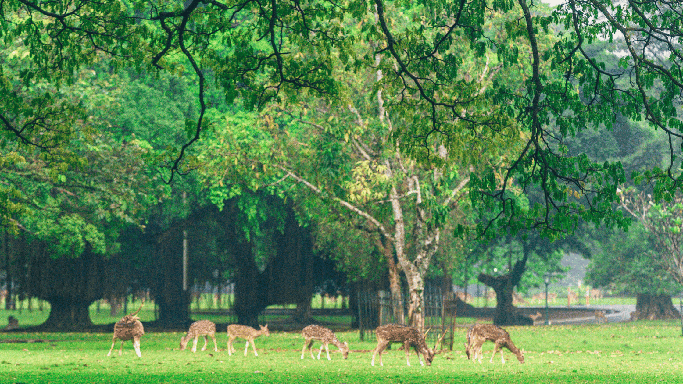 tempat wisata di bogor yang instagramable